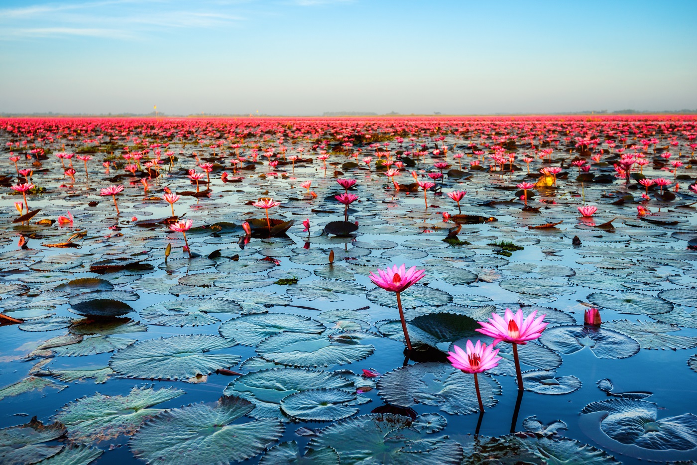 Udon Thani